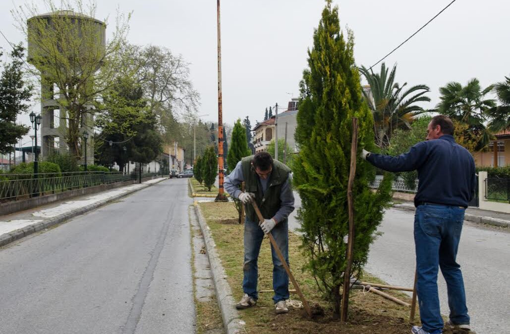 Δεντροφυτεύσεις  στην περιοχή του ΟΣΕ