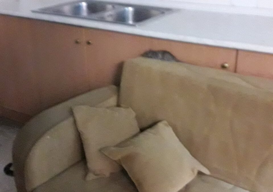 Εικόνες ντροπής: Ποντίκια «σουλατσάρουν» στις κουζίνες των φοιτητικών εστιών της Κοζάνης (ΦΩΤΟ)