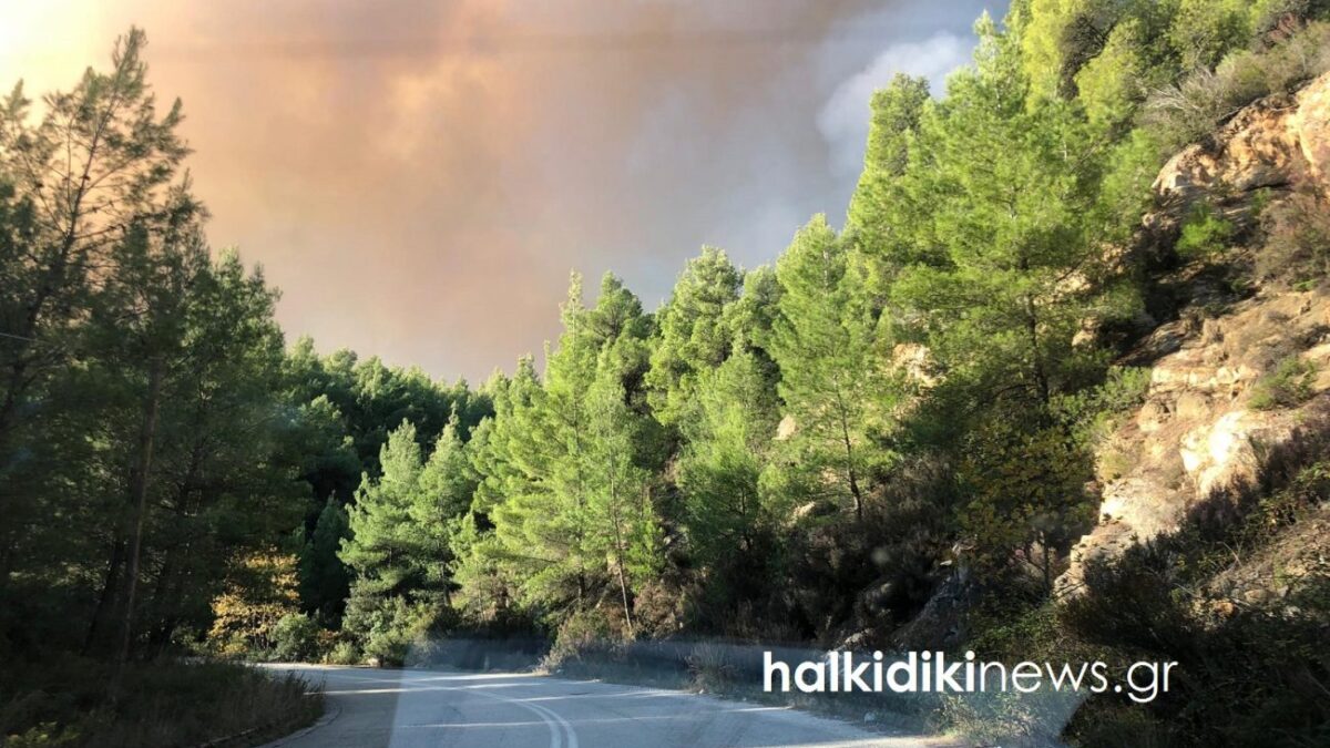 Μαίνεται η πυρκαγιά στη Σιθωνία – Τρία χιλιόμετρα το μέτωπο – Επιχειρούν ισχυρές πυροσβεστικές δυνάμεις (VIDEO & ΦΩΤΟ)