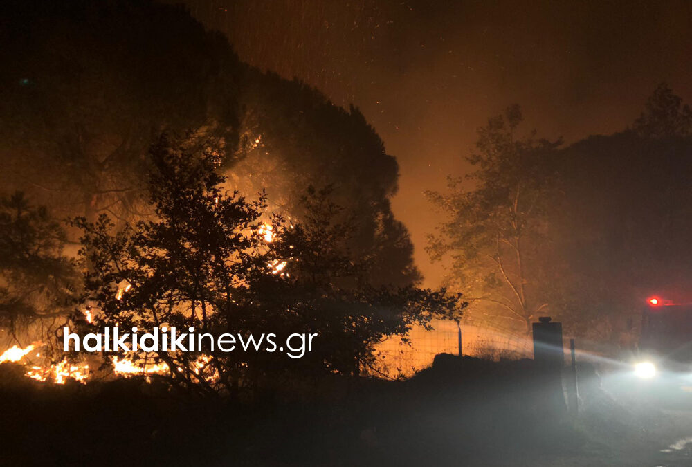 Σιθωνία: Η φωτιά έκαψε το κάμπινγκ στο Πλατανίτσι (ΦΩΤΟ)