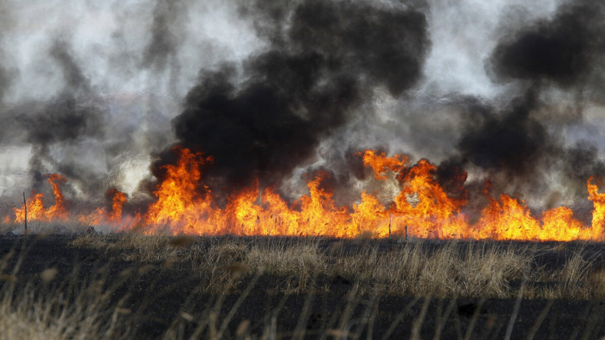 Stop στην παράνομη καύση στα χωράφια από τον Δήμο Δέλτα – Το ίδιο ζητούν να ισχύσει για αγρότες σε Πιερία & Ημαθία