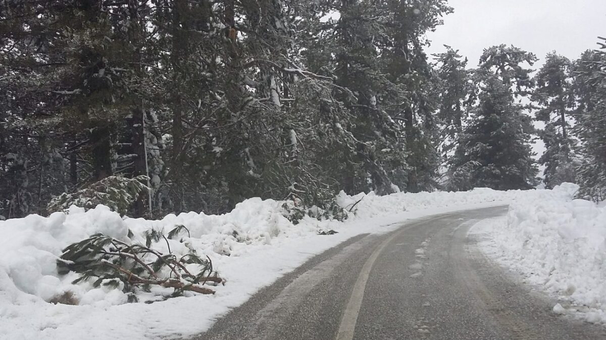 Ποδαρικό με τσουχτερό κρύο έκανε ο Δεκέμβριος στη Βόρεια Ελλάδα: Τα πρώτα χιόνια στη Φλώρινα (VIDEO)