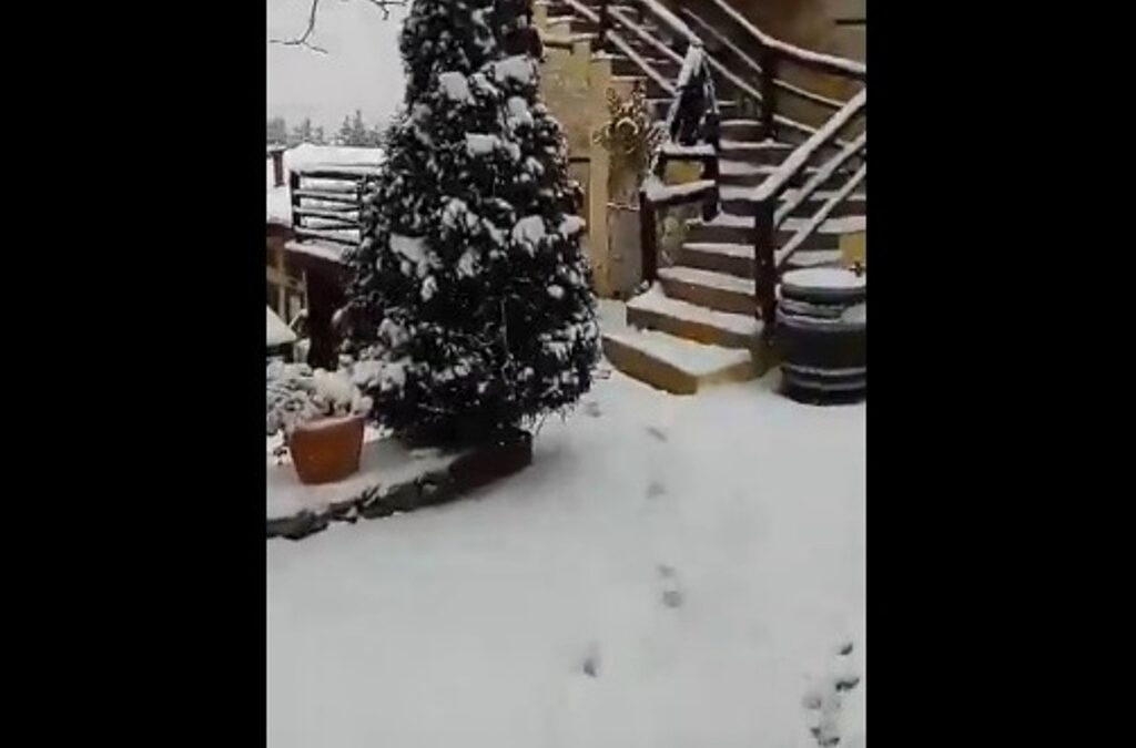 Ελατοχώρι: Πανέμορφες εικόνες από το χιονισμένο Αρχοντικό «Αλθαία» (VIDEO)