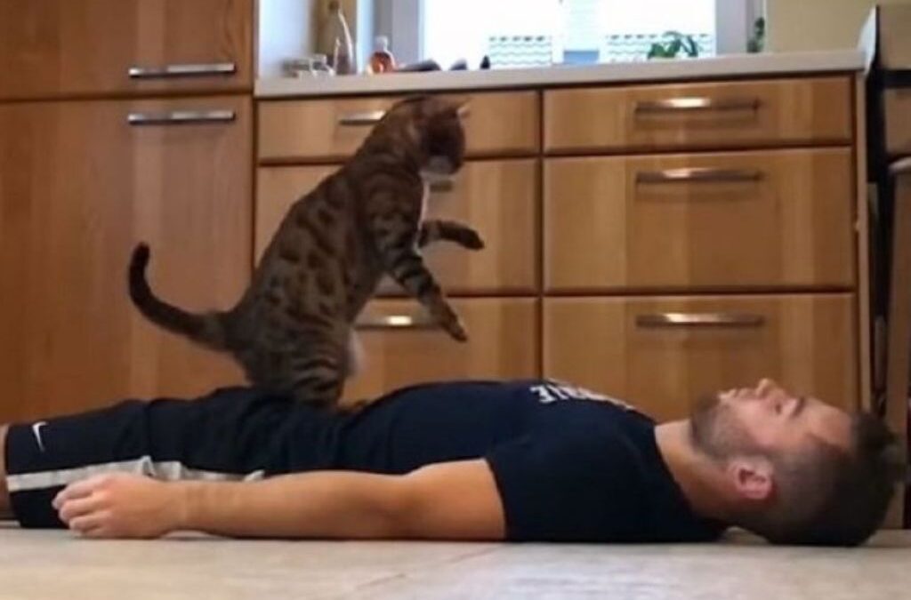 Γάτα… διασώστης προσφέρει τις… πρώτες βοήθειες (VIDEO)