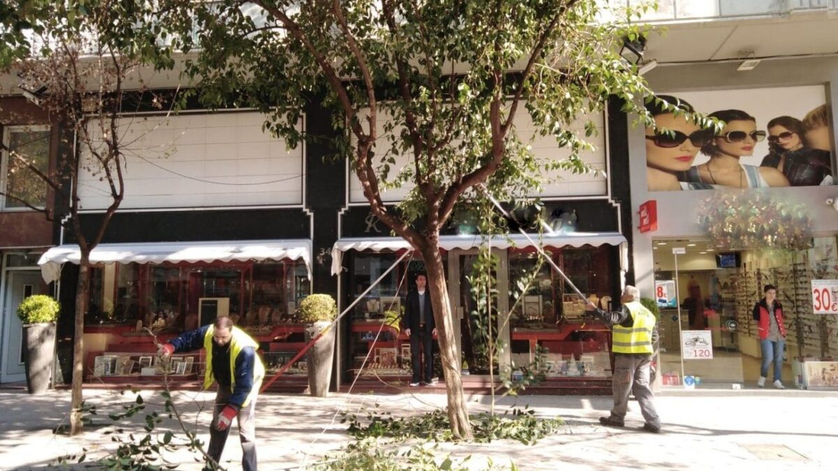 Κατερίνη: Κλαδεύονται τα δέντρα στην οδό Μεγάλου Αλεξάνδρου