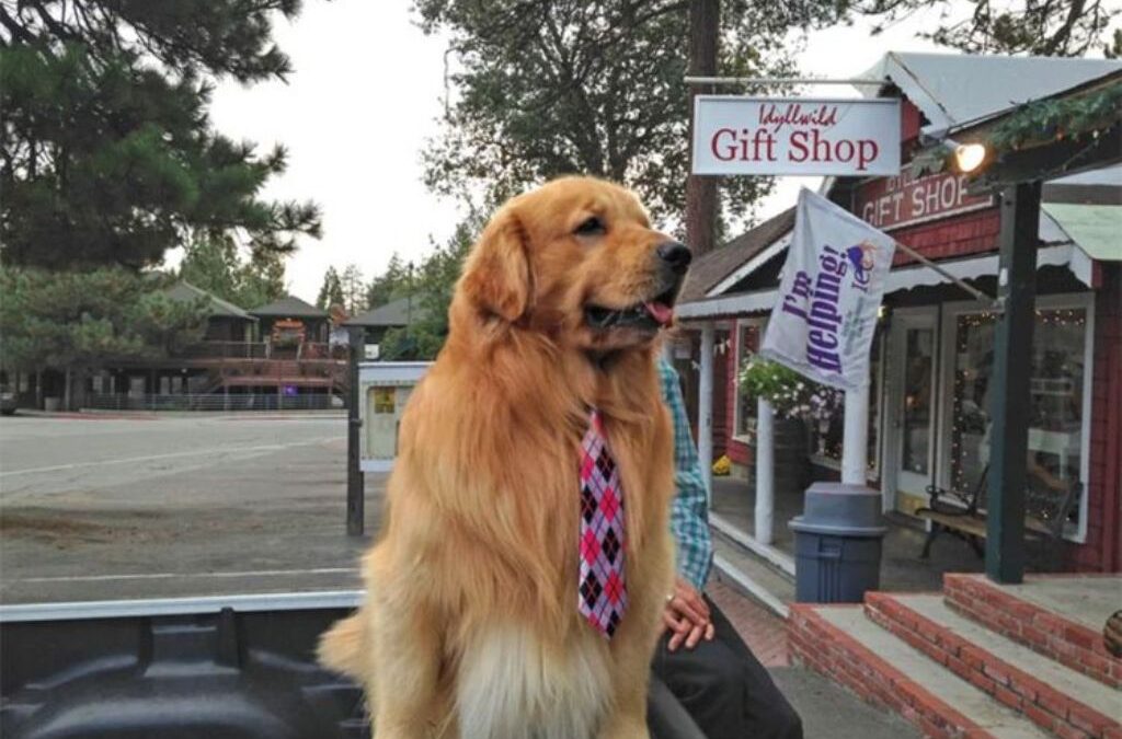 Αυτός είναι ο πιο αξιολάτρευτος Δήμαρχος – Με γραβάτα και ουρά! (ΦΩΤΟ)