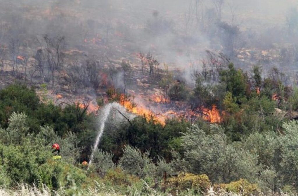 Ηράκλειο: Σε εξέλιξη μεγάλη φωτιά στην Αγία Βαρβάρα! Οι άνεμοι δυσκολεύουν τους πυροσβέστες