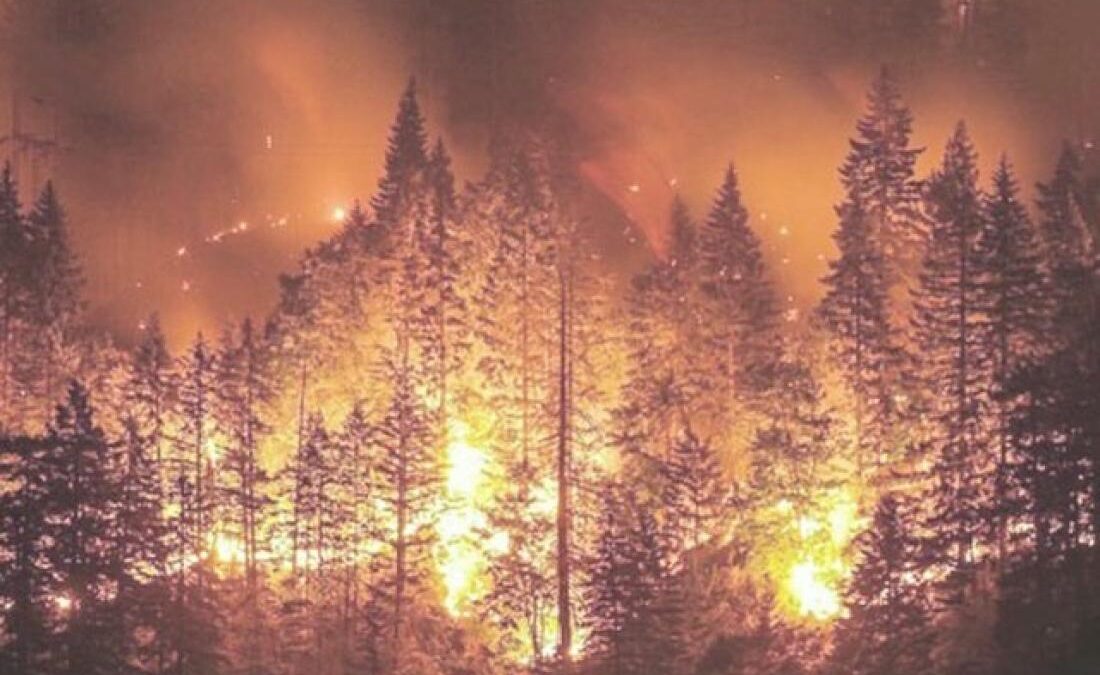 Κλιματική αλλαγή: Ο ΟΗΕ προειδοποιεί για δραματική αύξηση των δασικών πυρκαγιών