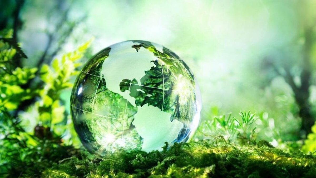 «Αποτρέψτε την εξαφάνιση των δέντρων ή ετοιμαστείτε για παγκόσμια οικολογική καταστροφή»
