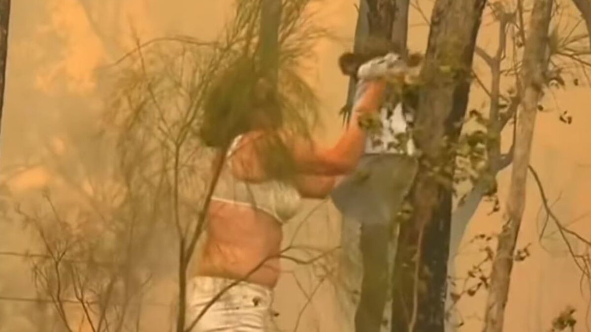Συγκίνηση: Γυναίκα σώζει μωρό κοάλα από τη φωτιά (VIDEO)