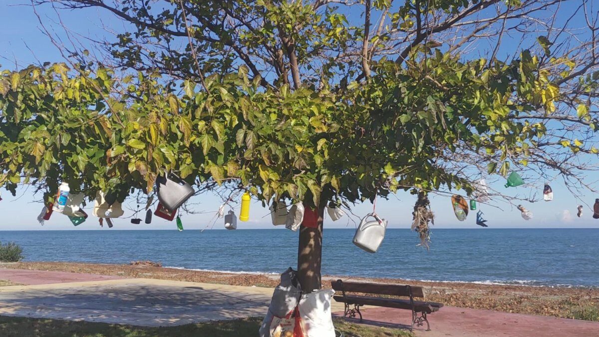 Στον Αγιόκαμπο «στόλισαν» δέντρο με τα… σκουπίδια της καταιγίδας (ΦΩΤΟ)