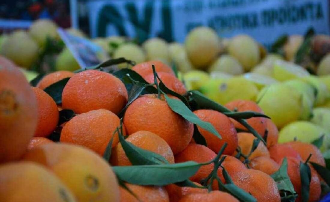 Λάρισα: Απατεώνες άρπαξαν 18 τόνους φρούτα αξίας 12.500 ευρώ