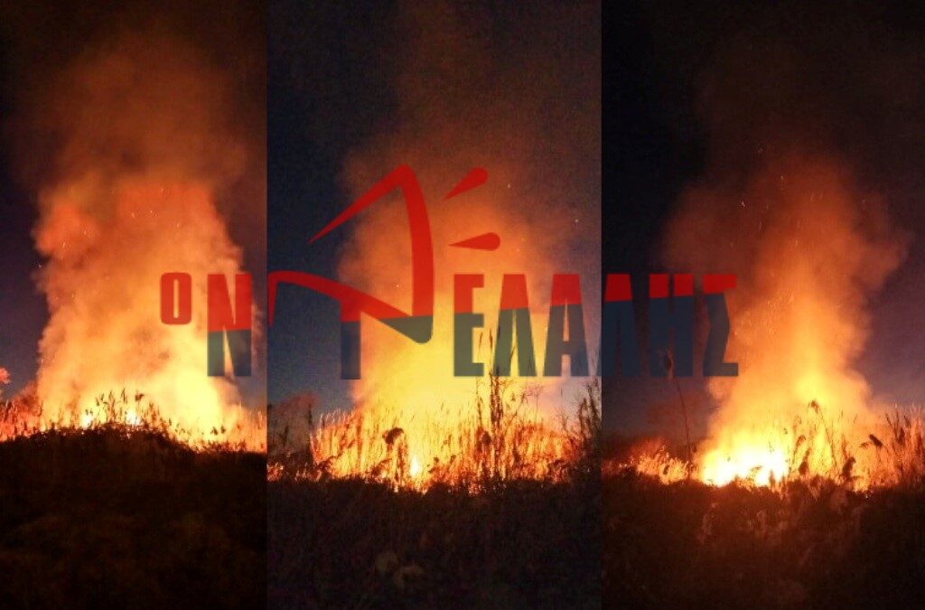 ΠΡΙΝ ΛΙΓΟ: Πυρκαγιά στην Ολυμπιακή Ακτή (VIDEO & ΦΩΤΟ)