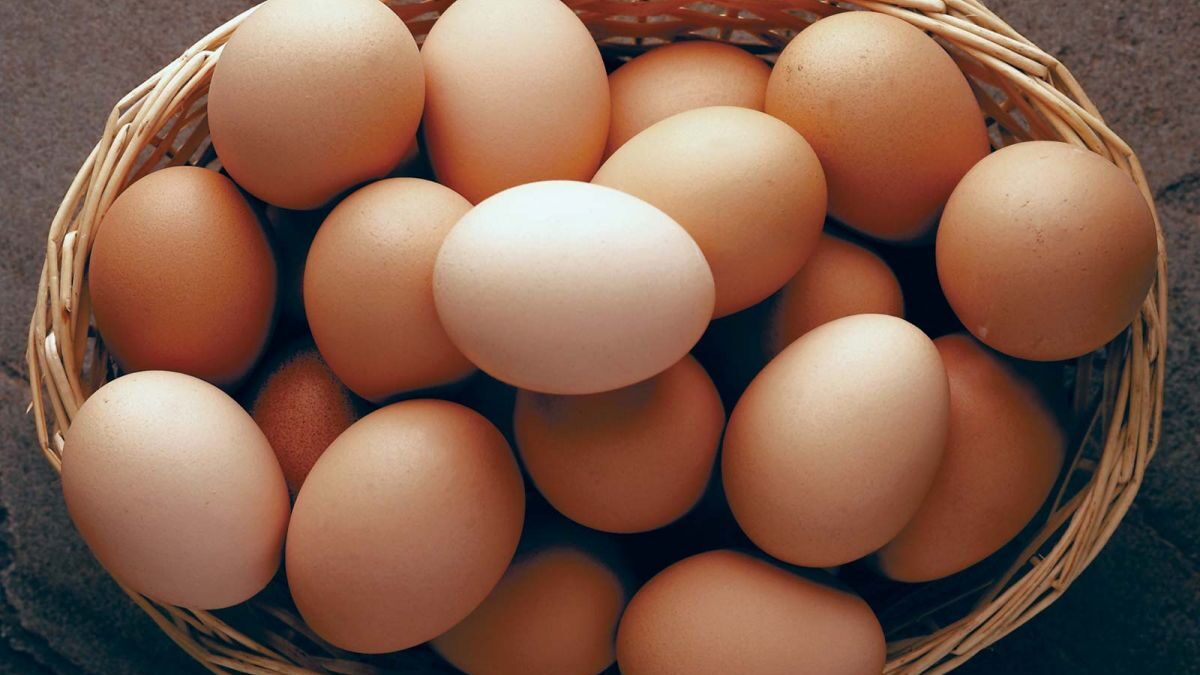 Tι σημαίνουν οι κηλίδες στα τσόφλια των αυγών;