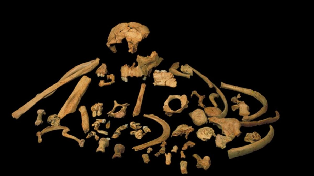 Δέος: Βρέθηκε γενετικό υλικό ανθρώπου 800.000 ετών! (ΦΩΤΟ)
