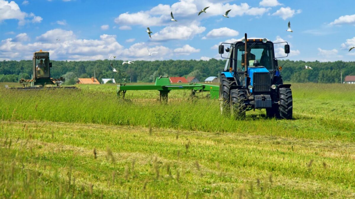Πληρωμή ενισχύσεων βιολογικής γεωργίας: 36 εκατ. ευρώ στους λογαριασμούς των δικαιούχων