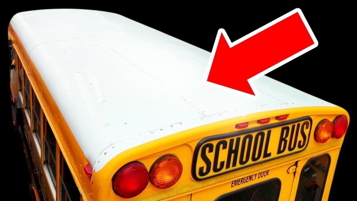 Γιατί τα σχολικά λεωφορεία έχουν πάντα άσπρη οροφή