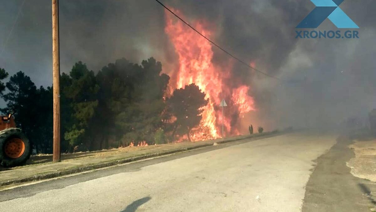 Συναγερμός για μεγάλη φωτιά στις Σάπες Ροδόπης – Εκκενώνεται οικισμός (VIDEO & ΦΩΤΟ)