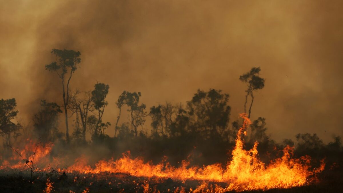 Ο Αμαζόνιος φλέγεται και πάλι – Ρεκόρ πυρκαγιών τον Ιούλιο
