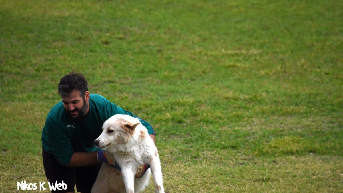 Απίστευτο: Δύο σκύλοι «παίζουν μπάλα» στο ερασιτεχνικό Πιερίας! – Viral της χρονιάς Νο2 (ΒΙΝΤΕΟ)