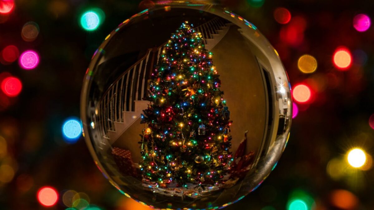Παρήγγειλε από το ίντερνετ ένα μεγάλο χριστουγεννιάτικο δέντρο και τελικά… (ΦΩΤΟ)