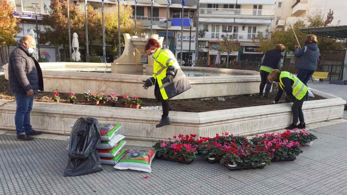 Δήμος Κατερίνης: Φύτευση ανθοφόρων λουλουδιών σε πλατείες & κοινόχρηστους χώρους