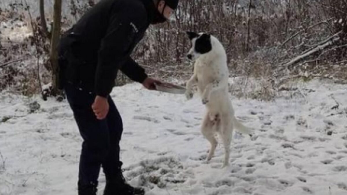 Ήπειρος: Η κίνηση αγάπης αστυνομικού σε αδέσποτο σκύλο που έγινε viral μέσα σε λίγες ώρες (ΦΩΤΟ)