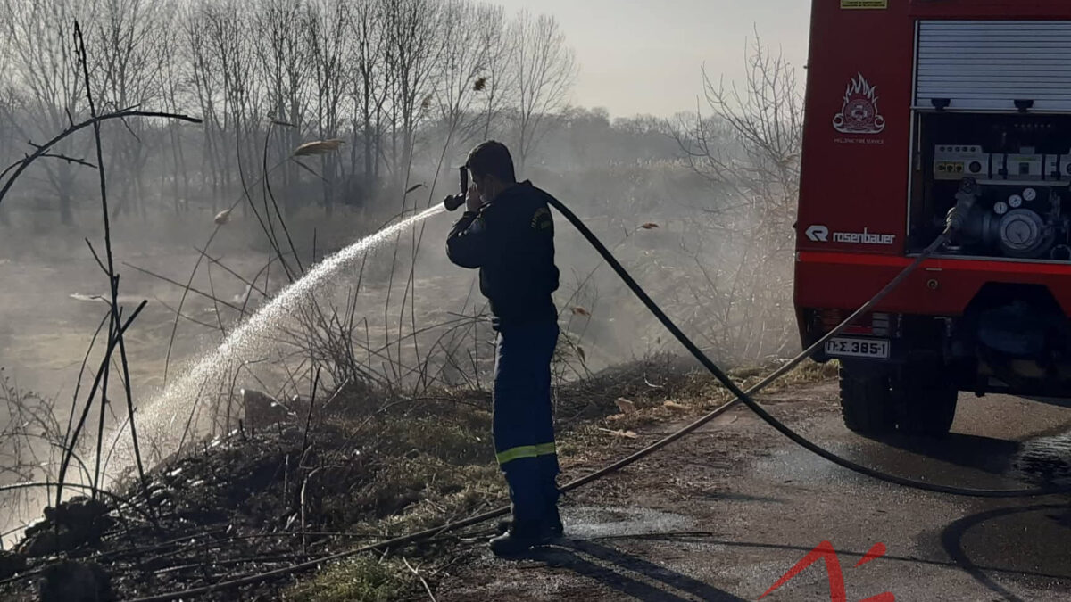 Συναγερμός στην Πυροσβεστική για φωτιά σε έκταση δίπλα στον δρόμο Κατερίνης – Νέας Εφέσου (ΒΙΝΤΕΟ & ΦΩΤΟ)