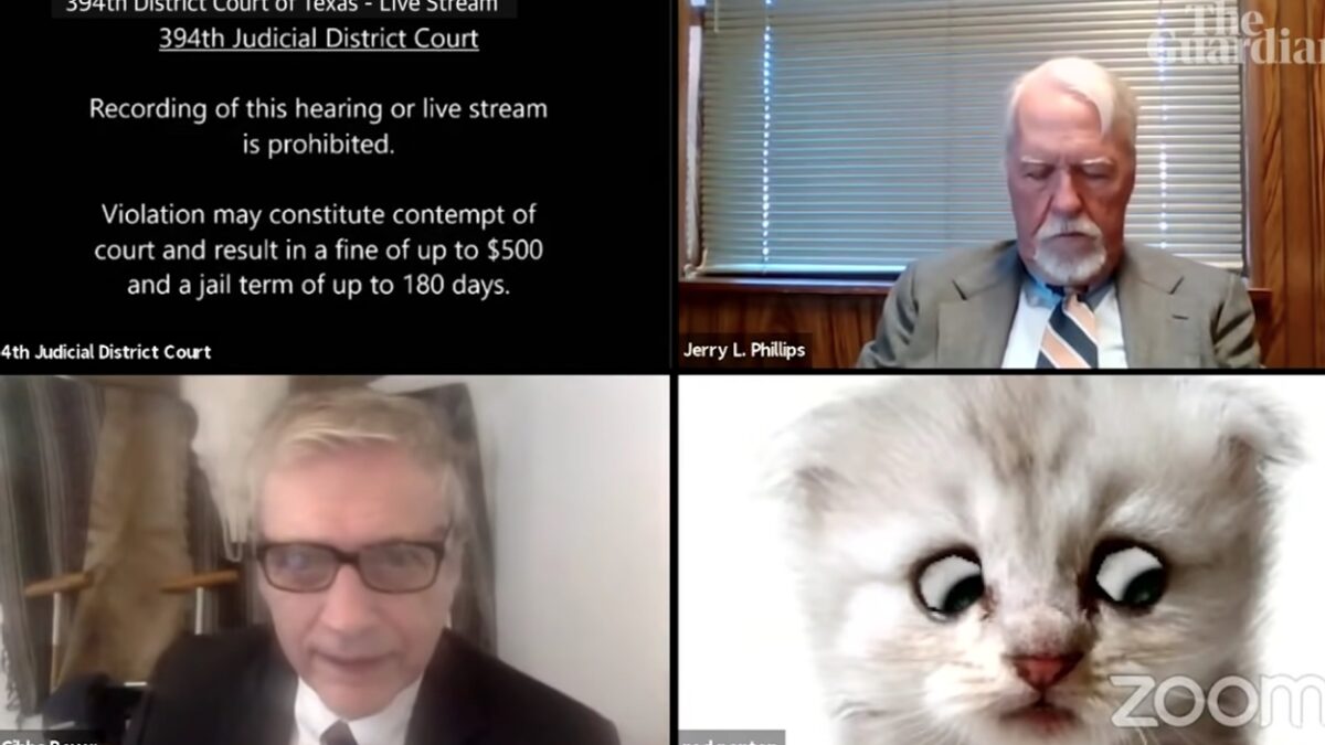Δίκη μέσω Zoom στο Τέξας: Δικηγόρος προσπαθούσε να πείσει τον δικαστή ότι δεν είναι γάτα