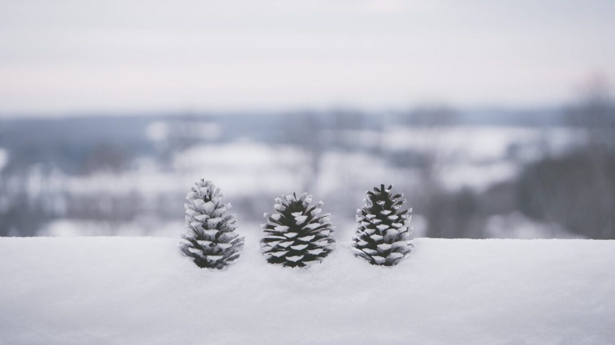 Τα μερομήνια «δείχνουν»… Χριστούγεννα με «χιόνια στο καμπαναριό»
