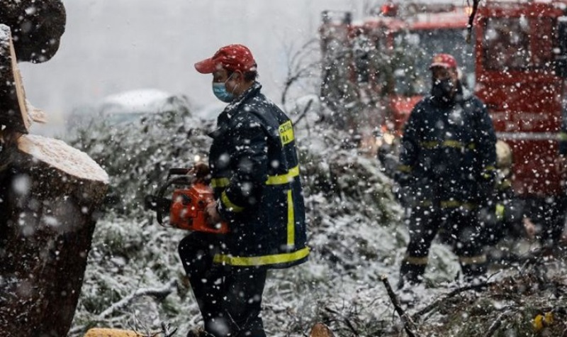 Νέα τραγωδία στη Βόρεια Εύβοια – Νεκρός πρώην κοινοτάρχης που καταπλακώθηκε από δέντρο