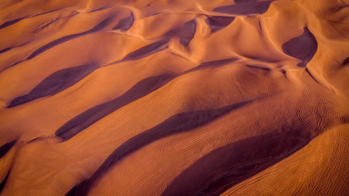 Ομάδα Ολλανδών θέλει να μετατρέψει την έρημο του Σινά σε καταπράσινο τόπο
