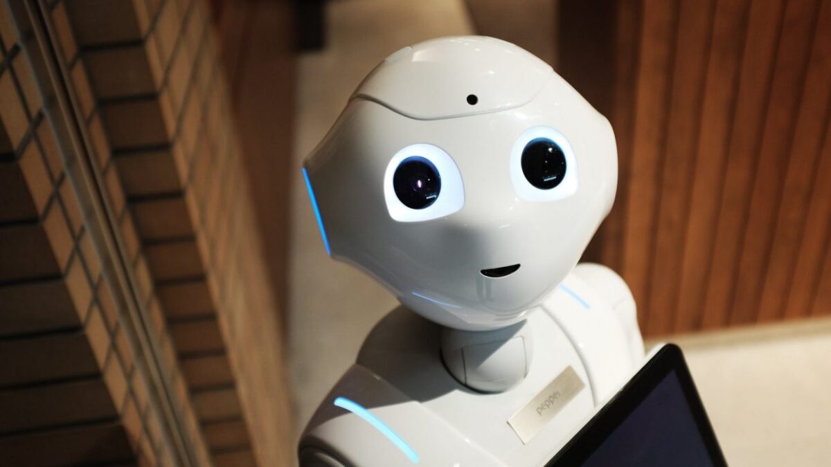 Θα ανοίγατε την πόρτα σε ένα ρομπότ; «Οι πιτσαδόροι του μέλλοντος»