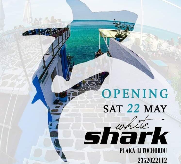 Opening για το White Shark στην Πλάκα Λιτοχώρου!