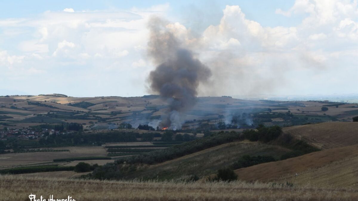 Πιερία: Μεγάλη φωτιά στα Παλιάμπελα (ΦΩΤΟ)