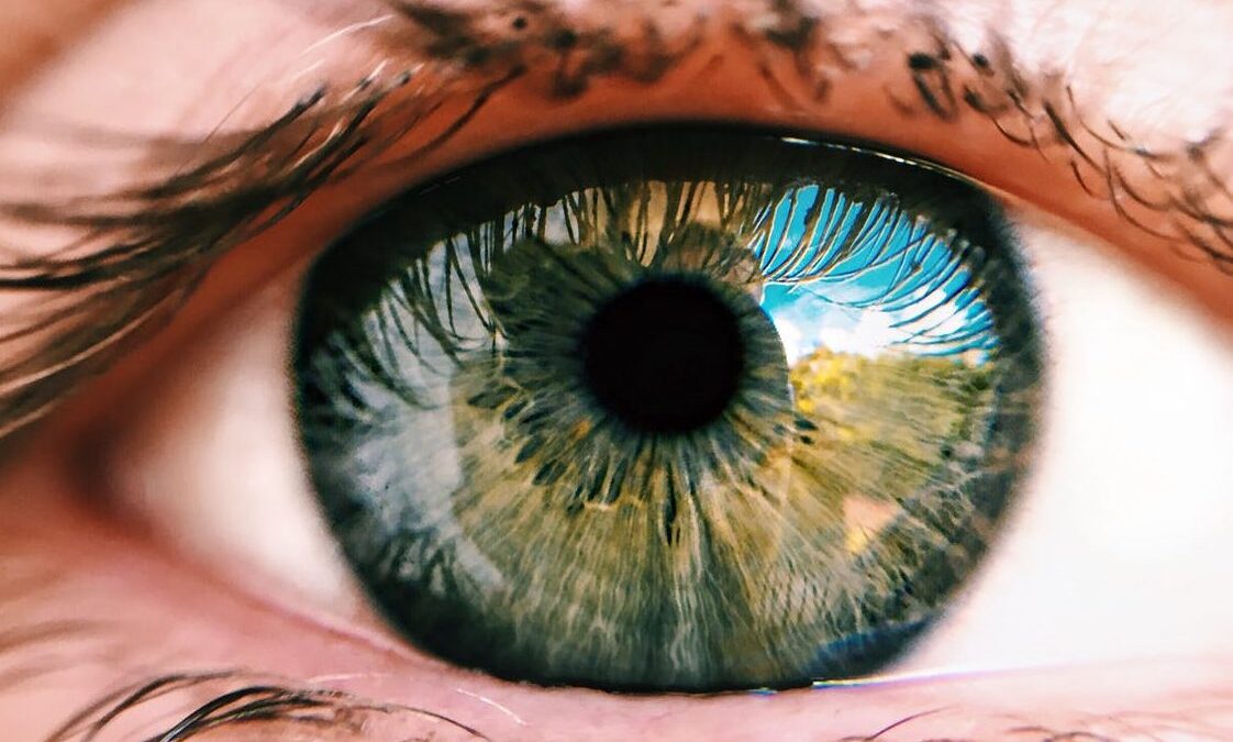 Νέα επιστημονική ανακάλυψη θα μπορούσε να βοηθήσει τους τυφλούς να δουν ξανά