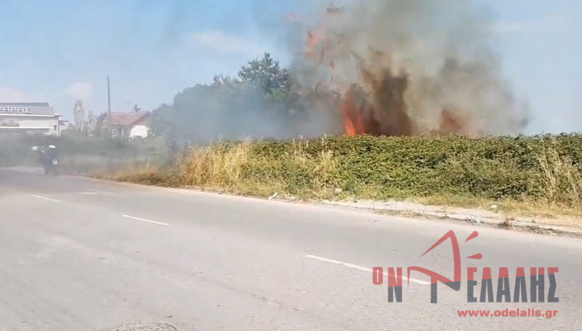 Πιερία: Δύο επικίνδυνες φωτιές στην Περίσταση με διαφορά λίγων λεπτών (ΒΙΝΤΕΟ & ΦΩΤΟ)