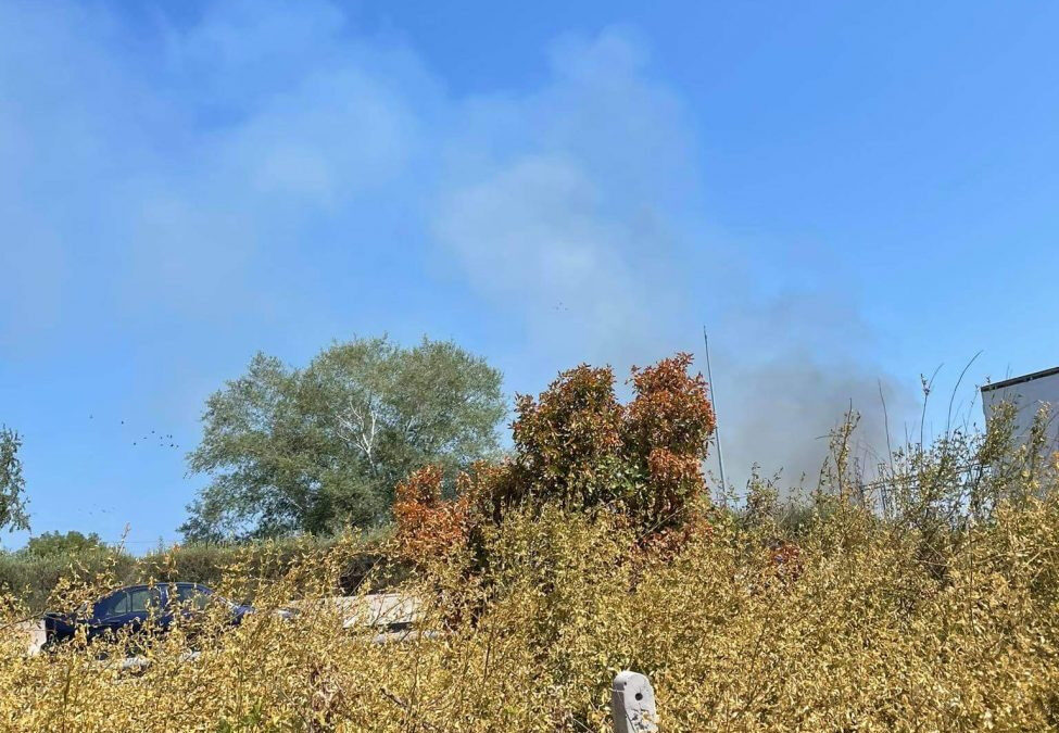 ΤΩΡΑ: Φωτιά στο ύψος του Βαρικού, απέναντι από JUMBO (ΦΩΤΟ)