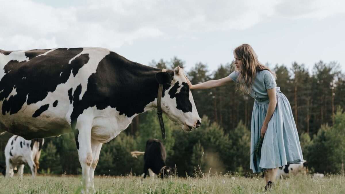 Αγελαδινό γάλα, χωρίς τις… αγελάδες