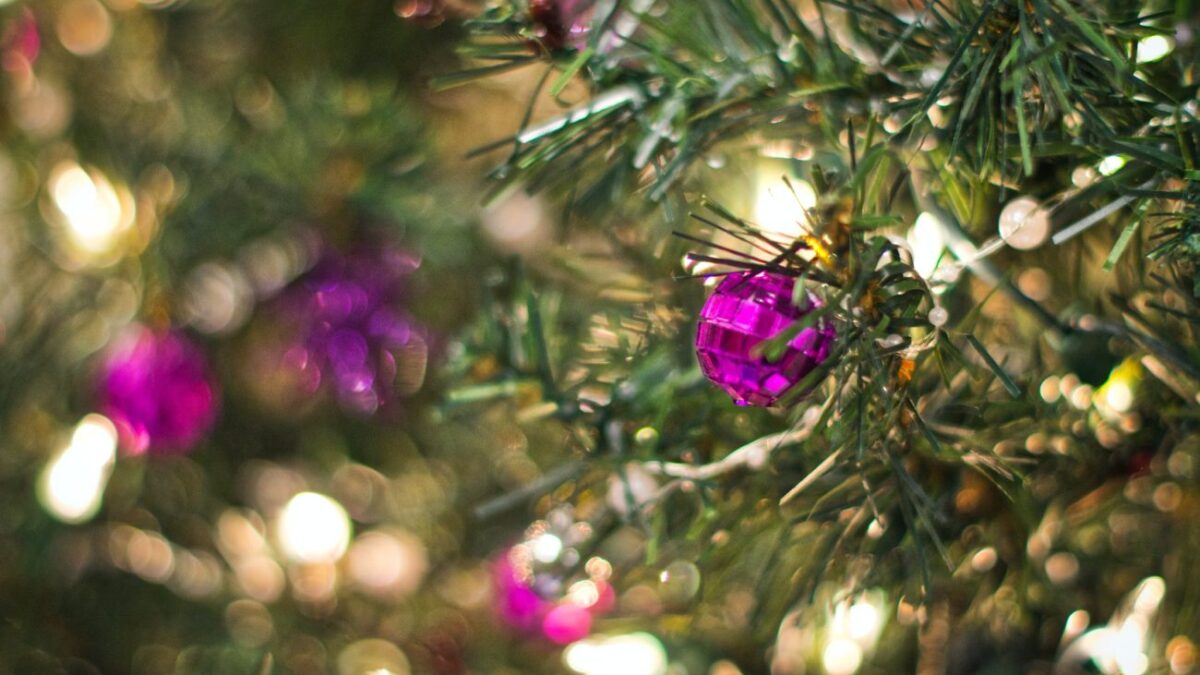 Η ιστορία του Χριστουγεννιάτικου Δέντρου – Ο Αδάμ, η Εύα & ο Τόμας Έντισον