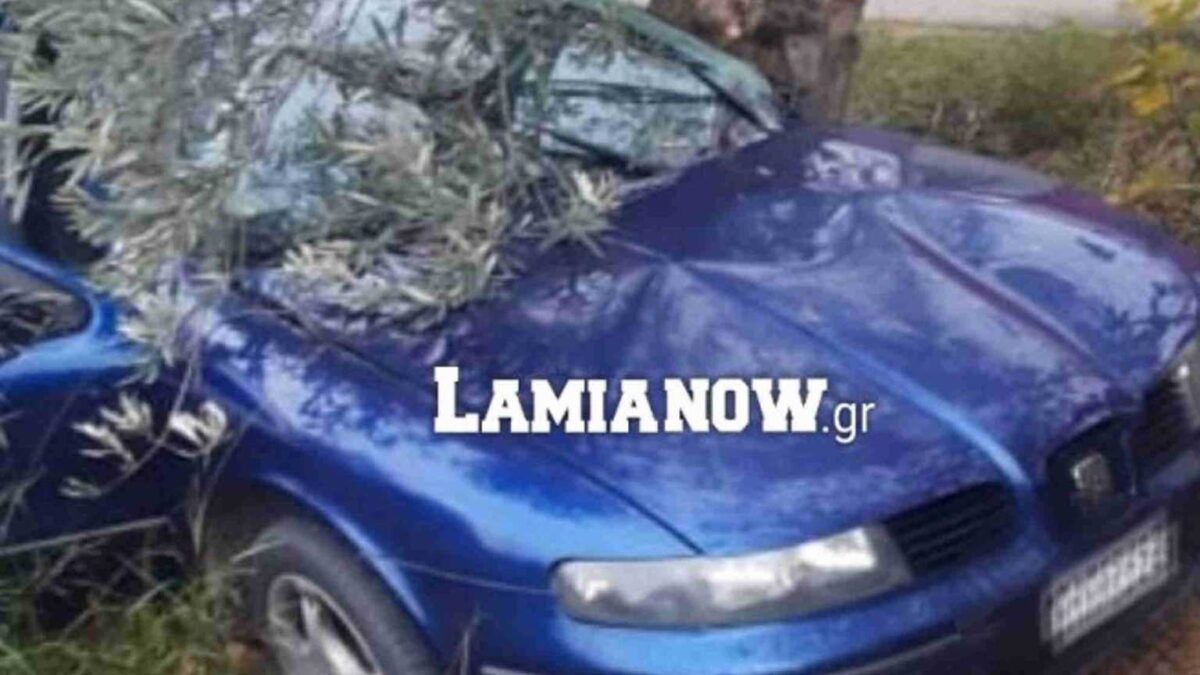 Νεκρός 50χρονος οδηγός στην Αταλάντη – Έφυγε στη στροφή και «καρφώθηκε» σε δέντρο (ΦΩΤΟ)