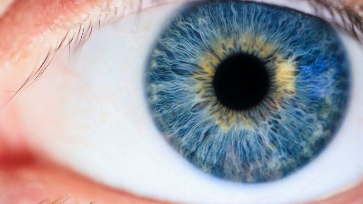 Σύστημα τεχνητής νοημοσύνης «διαβάζει» στα μάτια τον κίνδυνο εμφράγματος