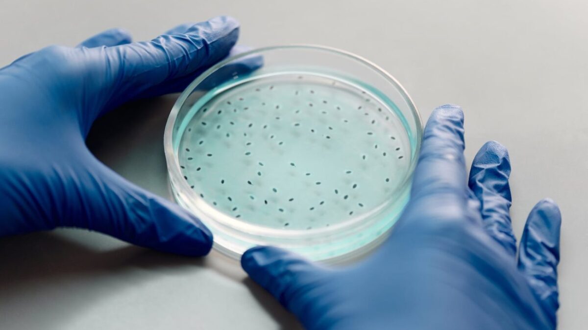 Έρευνα: Ανακαλύφθηκε το μεγαλύτερο μικρόβιο στον κόσμο