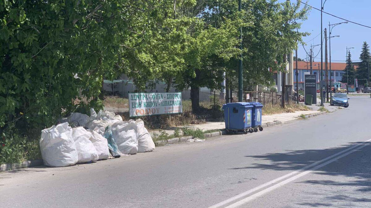 Δήμος Κατερίνης: Προσφεύγει στη δικαιοσύνη για την ανεξέλεγκτη ρίψη απορριμμάτων & μπαζών σε κοινόχρηστους χώρους
