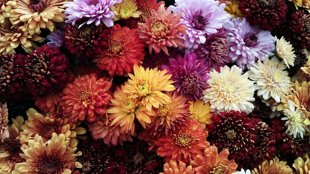 Πώς να κάνεις τα λουλούδια να διαρκούν περισσότερο: 8 επαγγελματικά tips