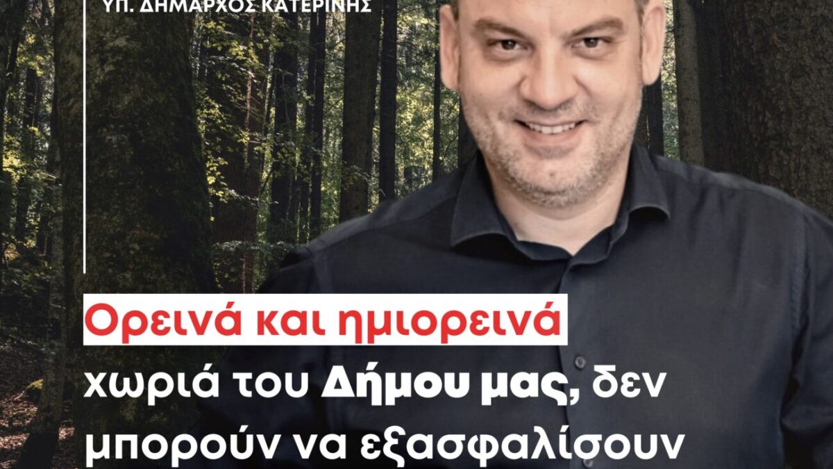 Νίκος Τσακιρίδης: “Δίκαιο και Πρόνοια στο θέμα διαχείρισης της δασικής ξυλείας”