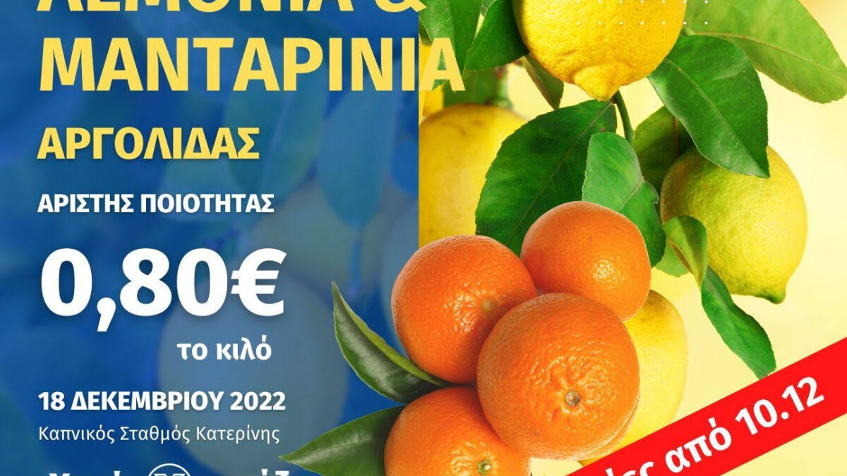 Λεμόνια και Μανταρίνια «Χωρίς Μεσάζοντες» προς 0,80€ το κιλό