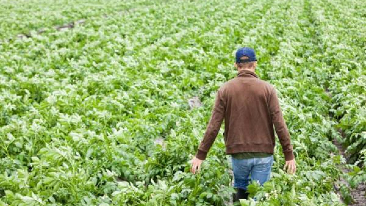Δημοσιοποίηση 1ης Τροποποίησης απόφασης «Ένταξη Πράξεων  «Εγκατάσταση Νέων Γεωργών» του Προγράμματος Αγροτικής Ανάπτυξης