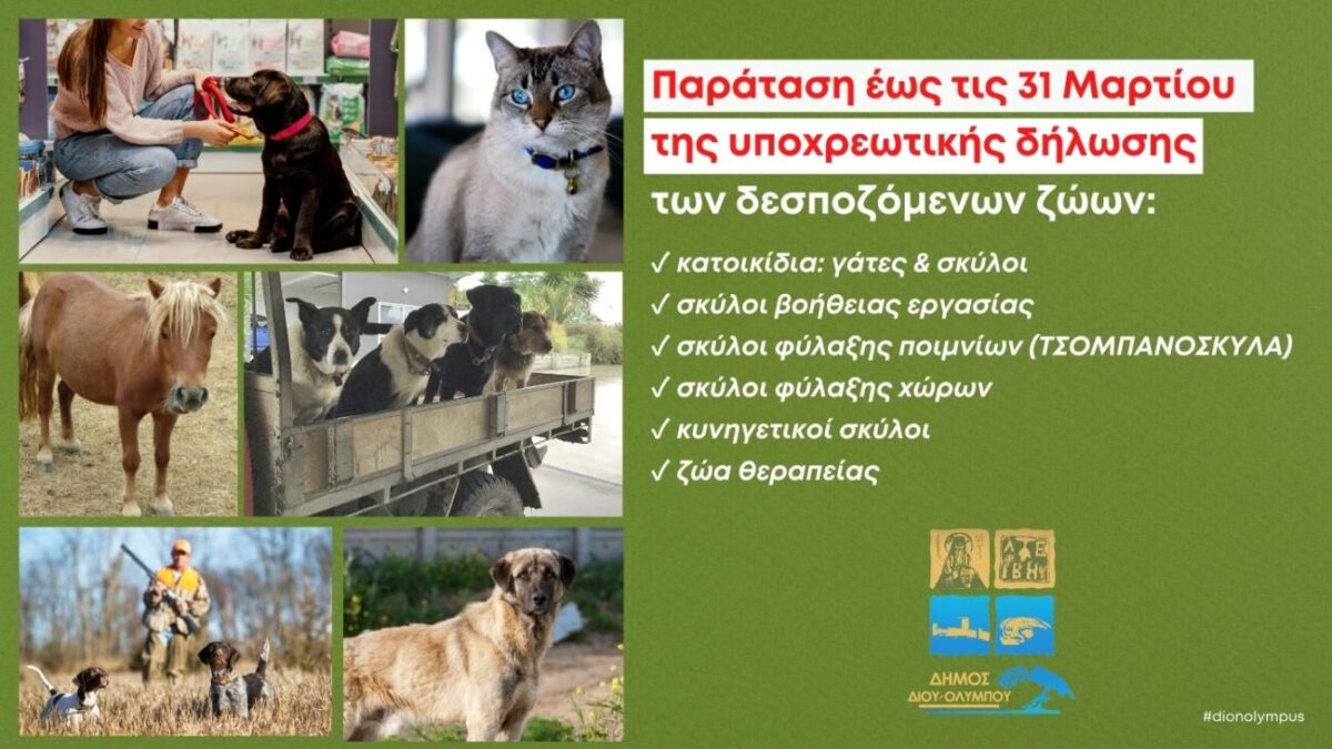 Δήμος Δίου-Ολύμπου: Παρατείνεται έως την Παρασκευή 31 Μαρτίου 2023 η προθεσμία για την δήλωση των δεσποζόμενων ζώων