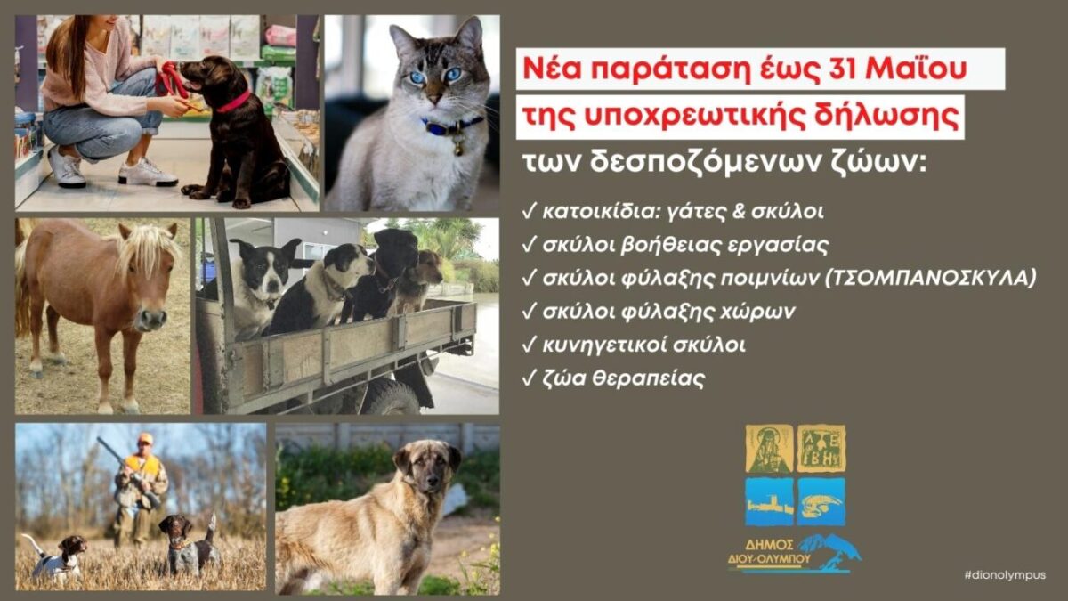 Δήμος Δίου-Ολύμπου: Νέα παράταση, έως 31 Μαΐου 2023, η προθεσμία για την δήλωση των δεσποζόμενων ζώων